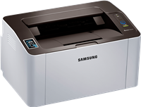 Xpress M2026W