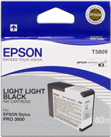Epson T5809 lightlightblack ink cartridge