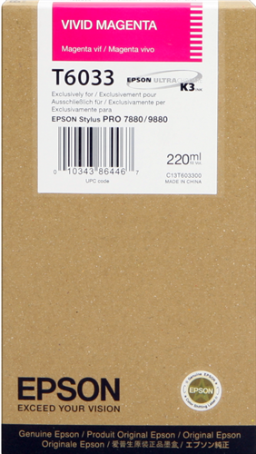 Epson C13T603300