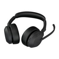 Jabra 25599-989-899