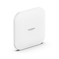 NETGEAR WAX620-100EUS