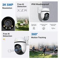 TP-Link TAPO C530WS